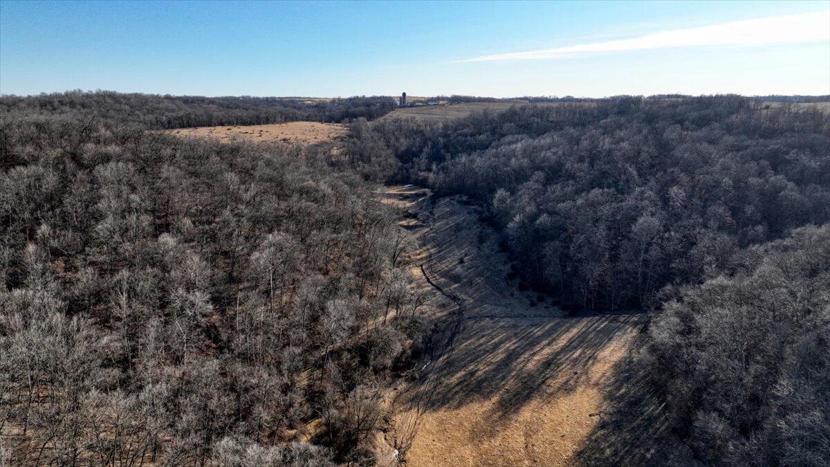 351 Acres County Road Boscobel, WI 53805 - Photo 17 of 76 104-DJI_0565_99