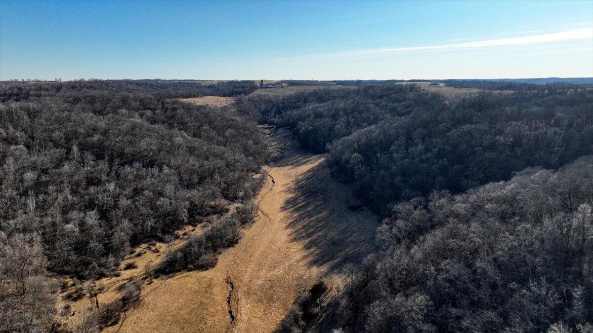 351 Acres County Road Boscobel, WI 53805 - Photo 18 of 76 098-DJI_0530_93