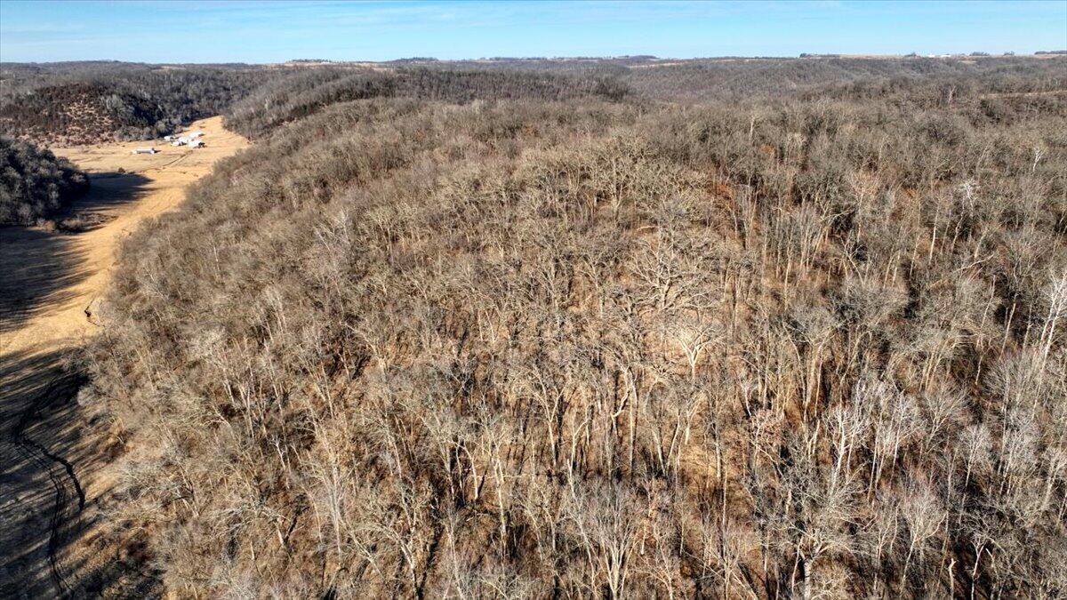 351 Acres County Road Boscobel, WI 53805 - Photo 21 of 76 113-DJI_0613_108