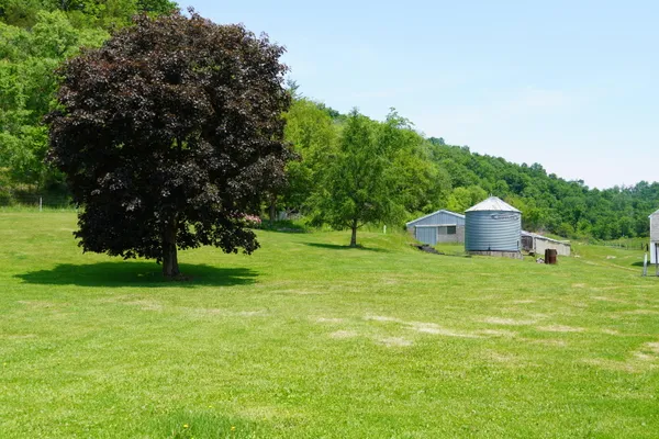 $2,700,000 | 351 Acres County Road, Boscobel, WI 53805