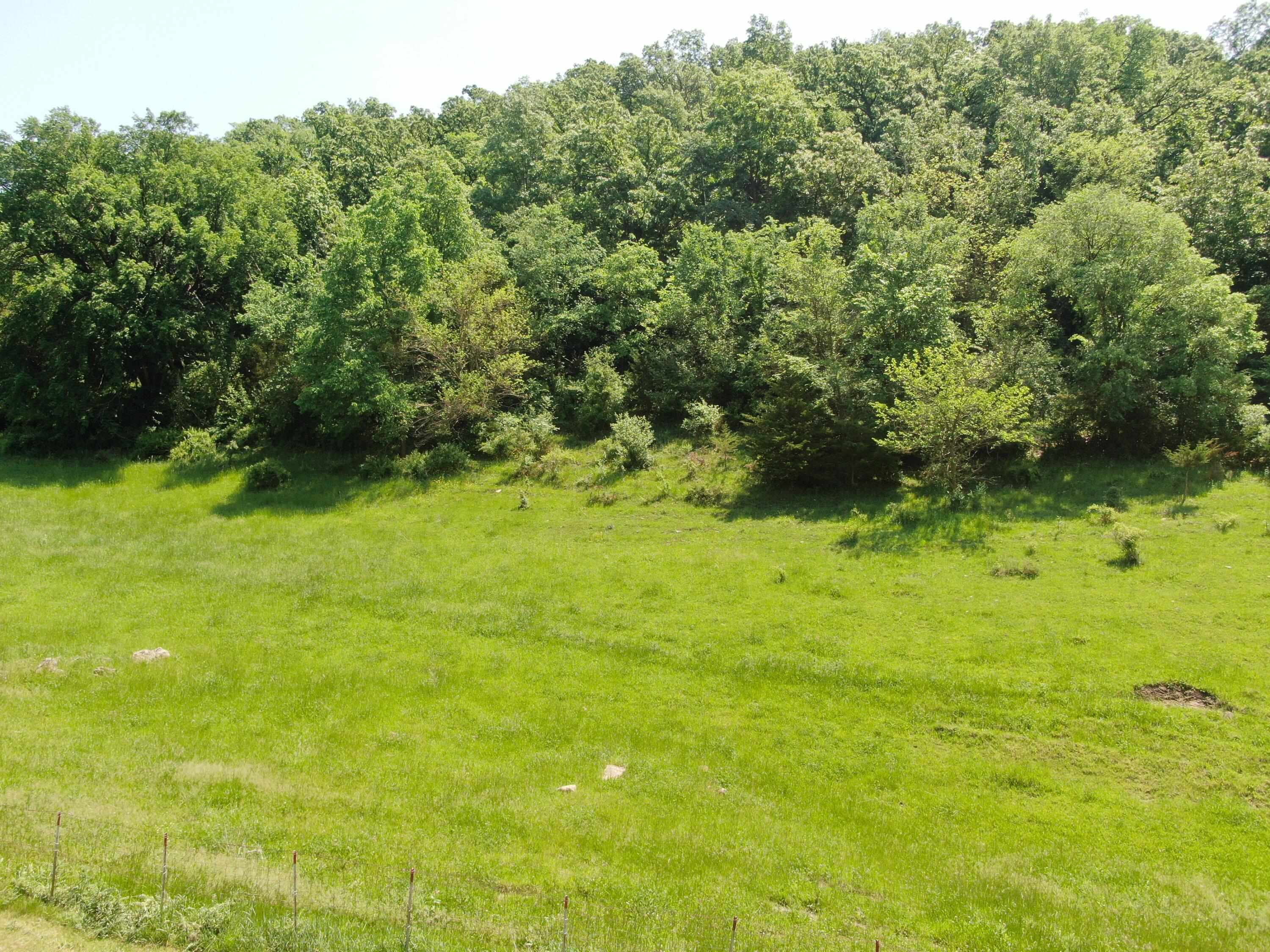 351 Acres County Road Boscobel, WI 53805 - Photo 65 of 76 DJI_0065