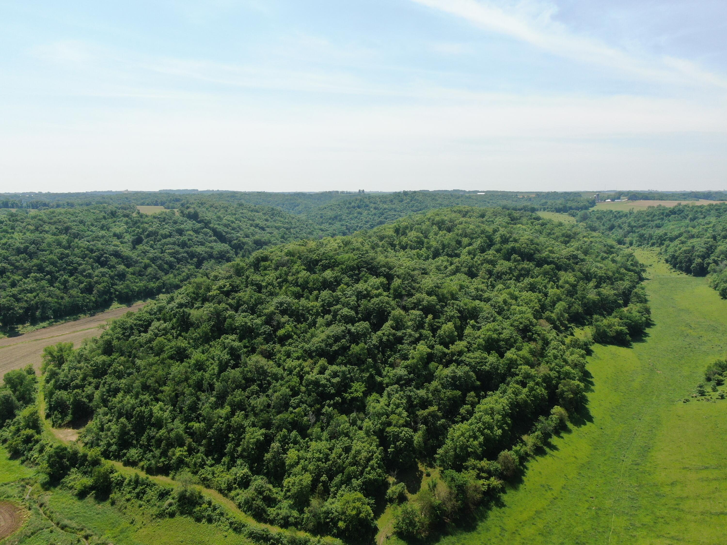 351 Acres County Road Boscobel, WI 53805 - Photo 66 of 76 DJI_0028