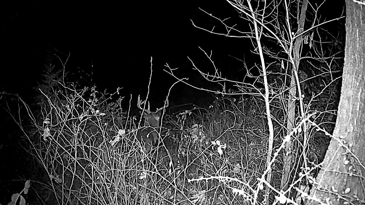 351 Acres County Road Boscobel, WI 53805 - Photo 70 of 76 1000096951
