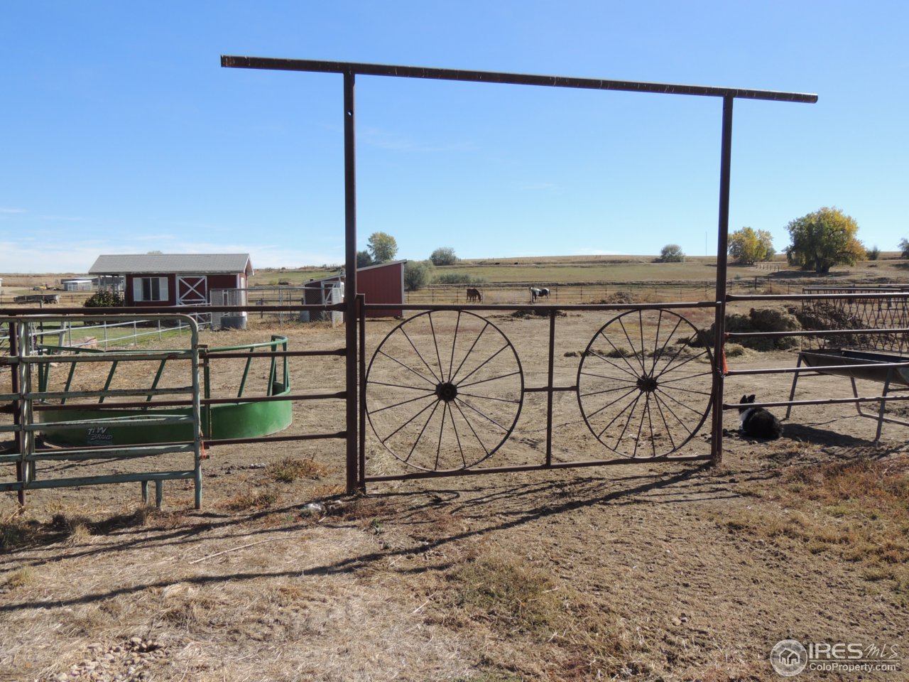 308 Westview Road Erie, CO 80516 - Photo 18 of 24 Arena
