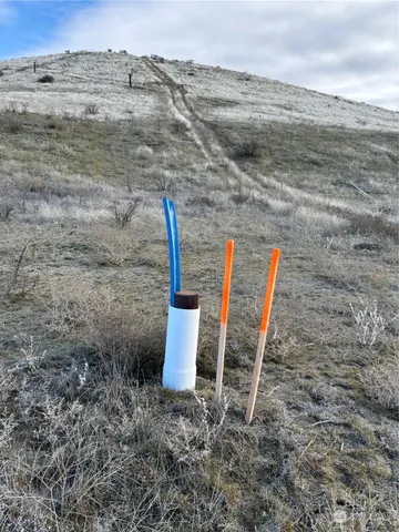 a outdoor view with a lake
