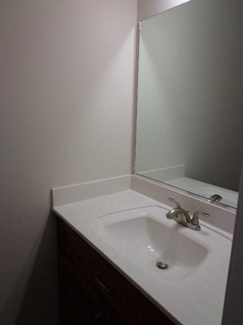 1455 Cliff Amos Road Spring Hill, TN 37174 - Photo 12 of 24 a bathroom with a sink and a vanity