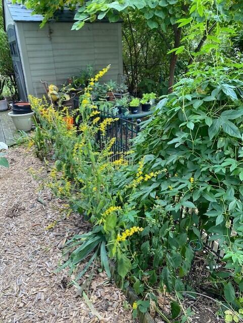 47 East Torrence Road Columbus, OH 43214 - Photo 54 of 55 thumbnail_IMG_1759