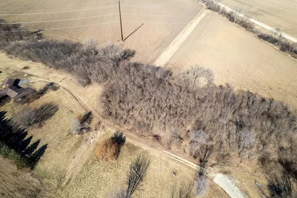a view of water with a tree