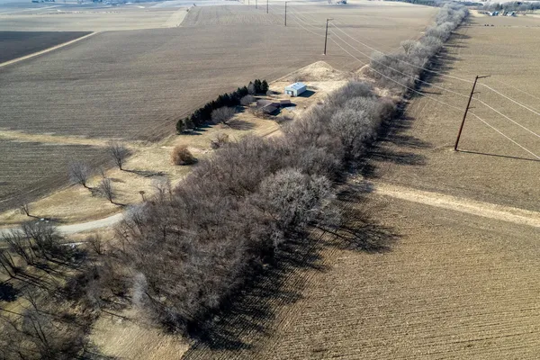a view of a yard with trees and covered with wooden fence