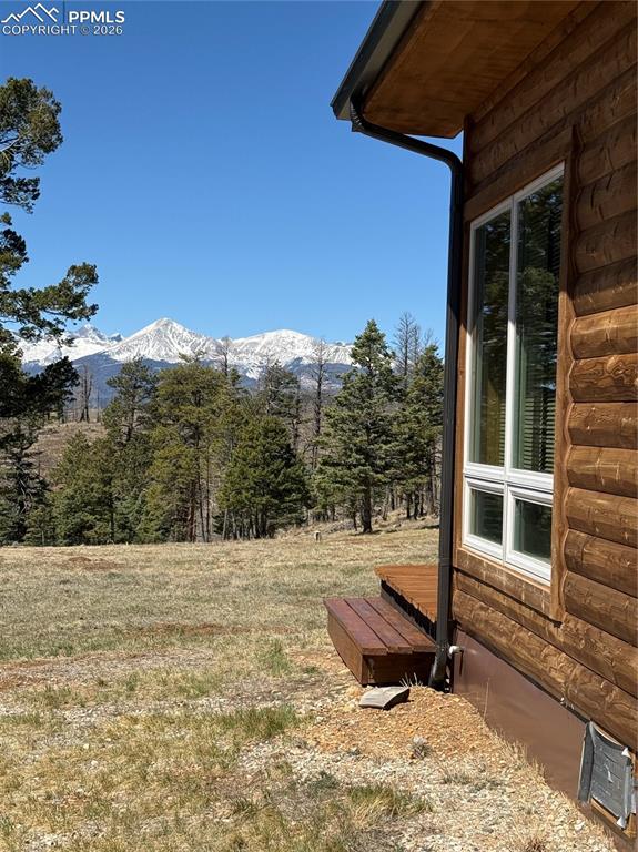 450 Schierl Road Fort Garland, CO 81133 - Photo 11 of 40 a view of a backyard of the house