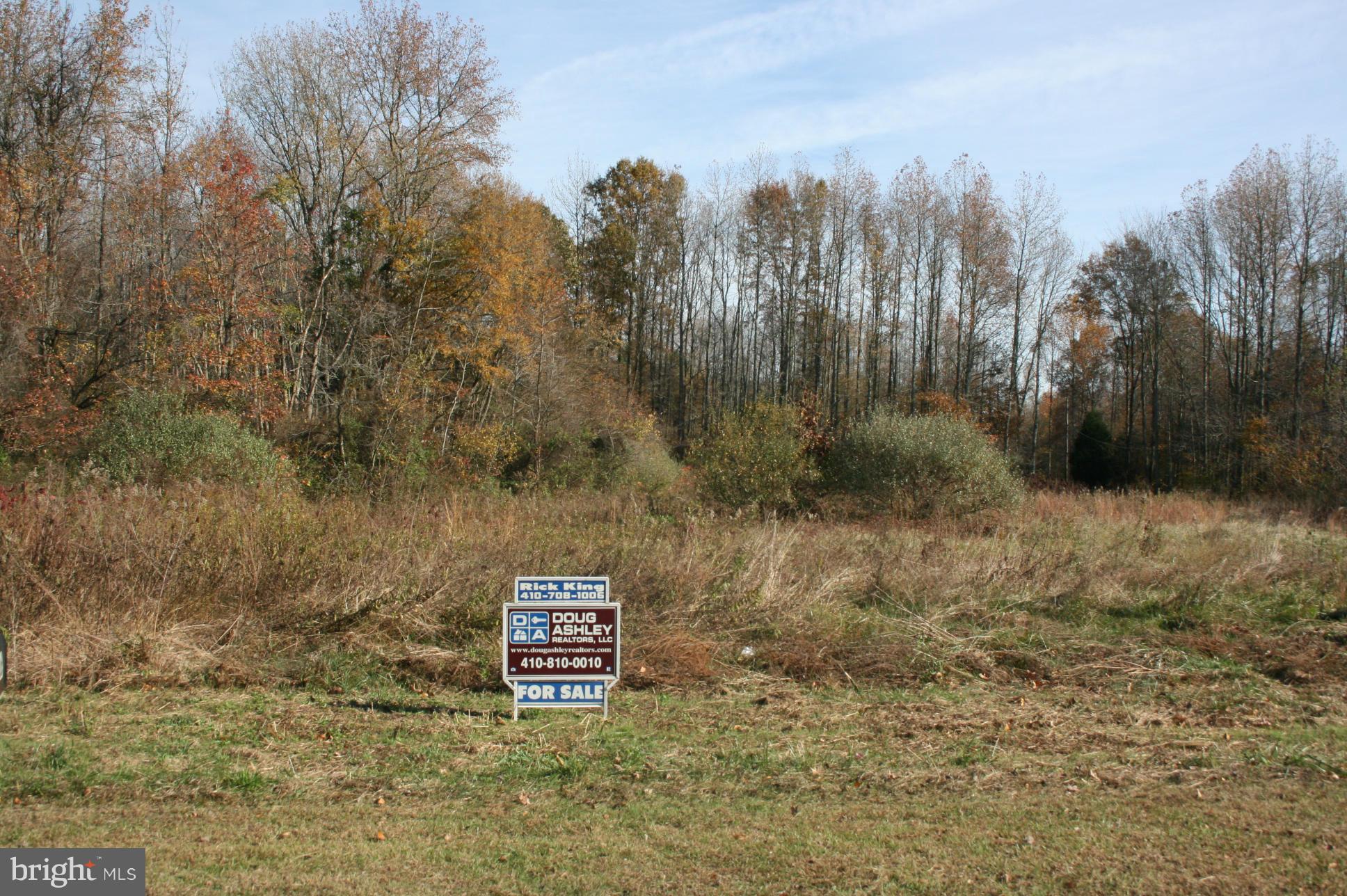 415 Pine Tree Road Chestertown, MD 21620 - Photo 15 of 19 Exterior (General)