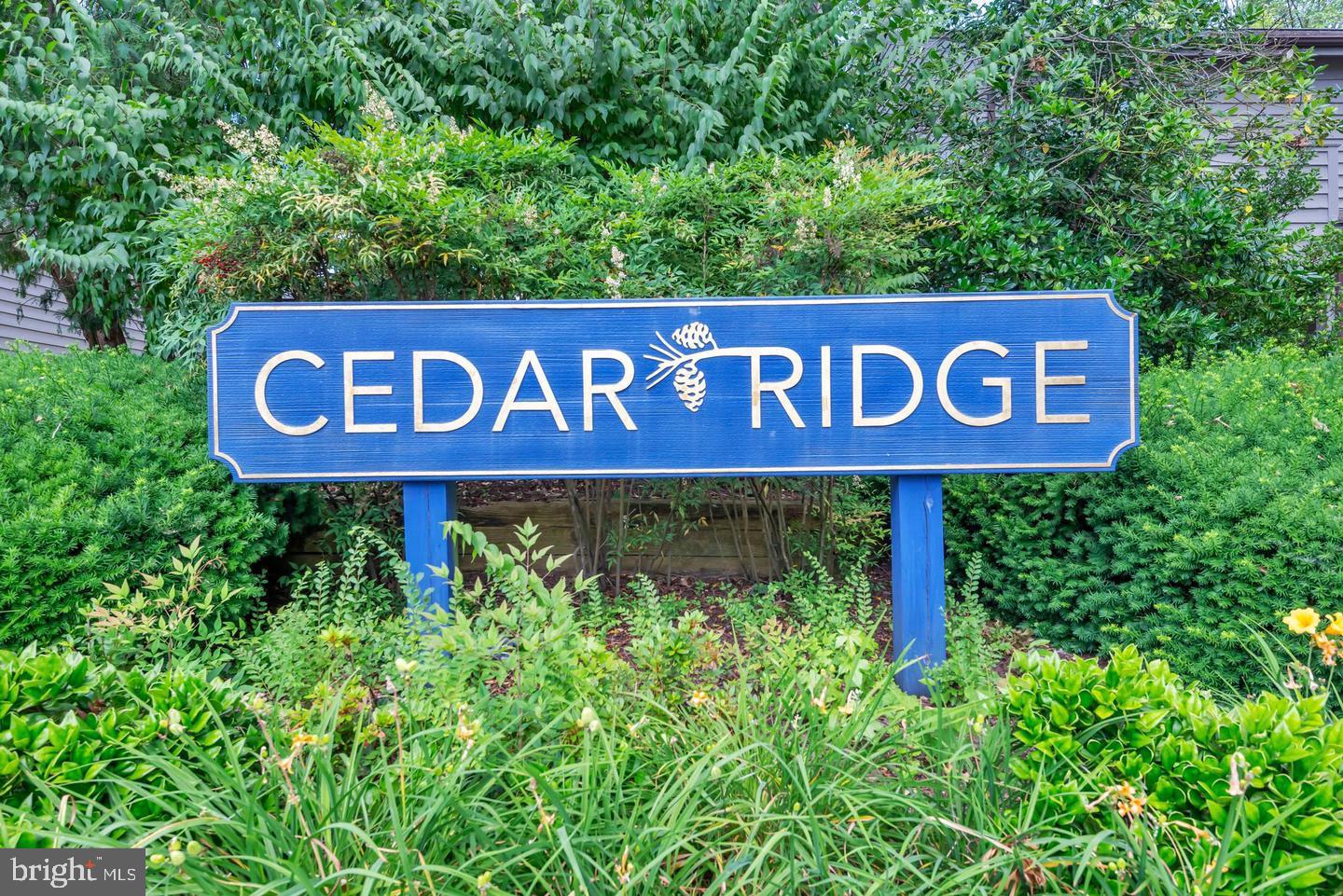 1052 Cedar Ridge Court Annapolis, MD 21403 - Photo 35 of 42 Welcome to Cedar Ridge!