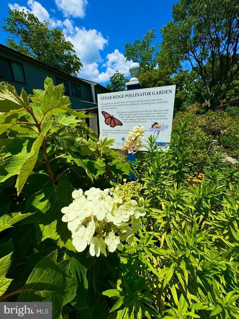 1052 Cedar Ridge Court Annapolis, MD 21403 - Photo 39 of 42 Neighborhood butterfly path