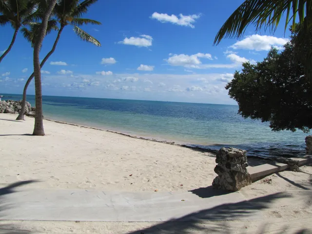 a view of beach and ocean