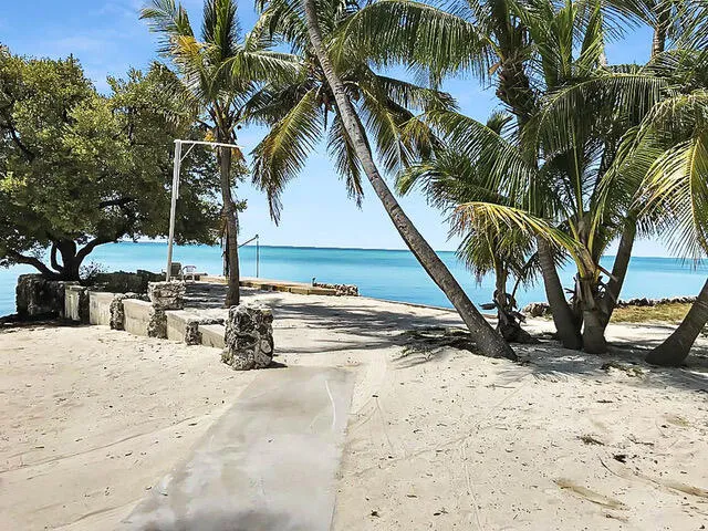 a view of a yard with large trees