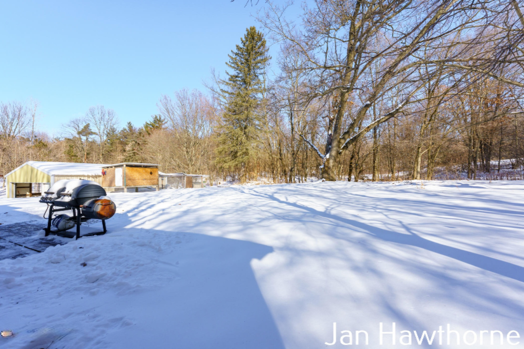 8400 Irving Road Middleville, MI 49333 - Photo 33 of 36 Irving_Rd_8400_Middleville_49333-29