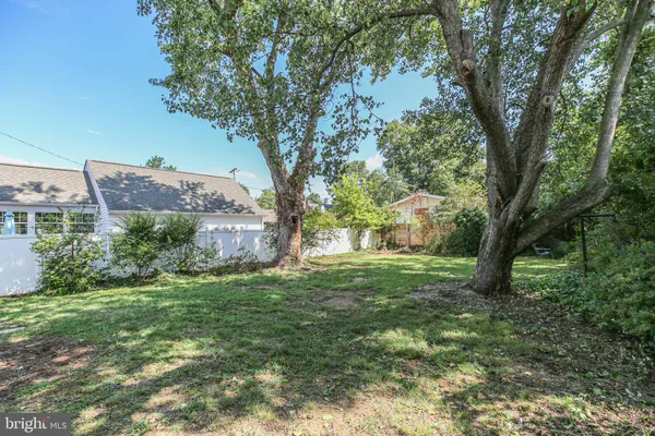 a view of outdoor space with trees all around