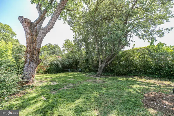 a view of house with a yard