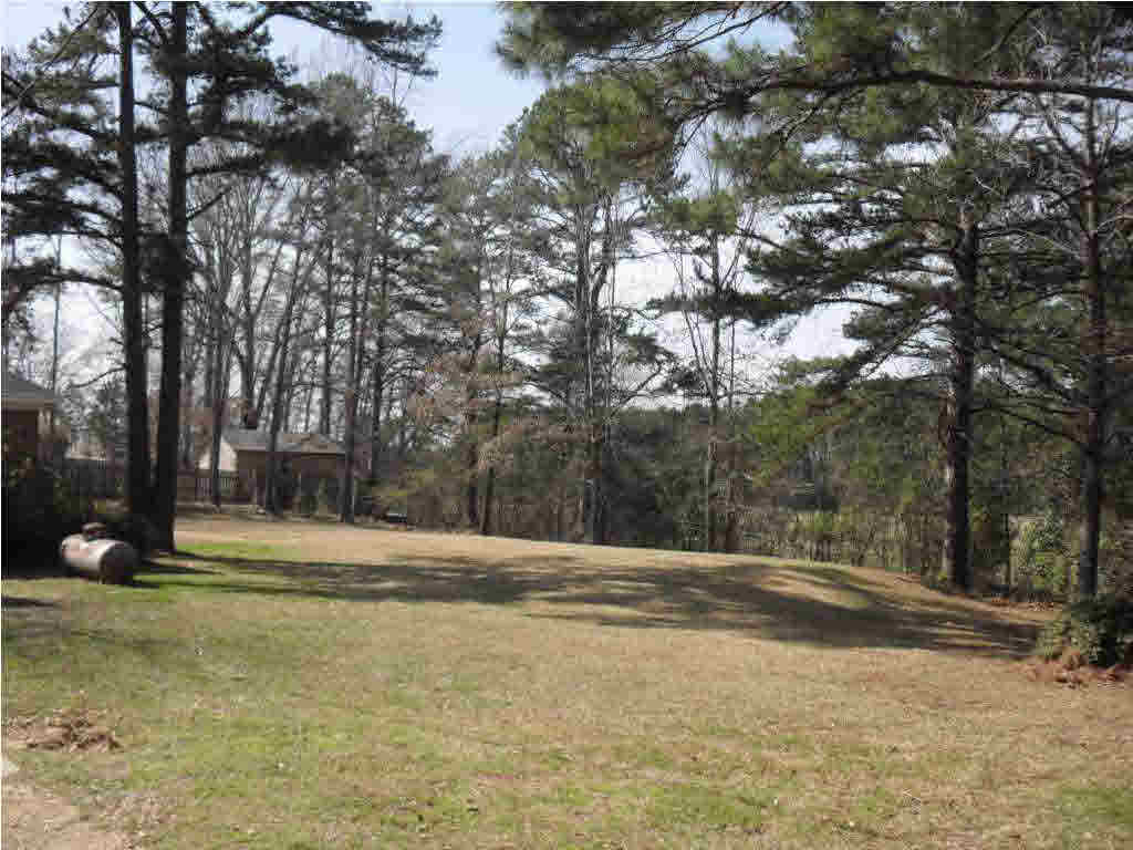 895 Robinson Springs Road Madison, MS 39110 - Photo 8 of 8 Photo 8