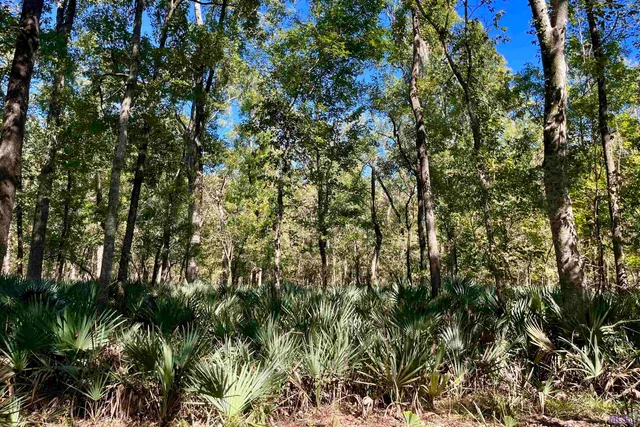 $2,175,800 | 2 Manchac Road, Baton Rouge, LA 70810