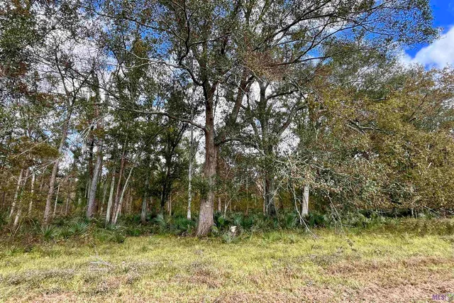 $2,175,800 | 2 Manchac Road, Baton Rouge, LA 70810