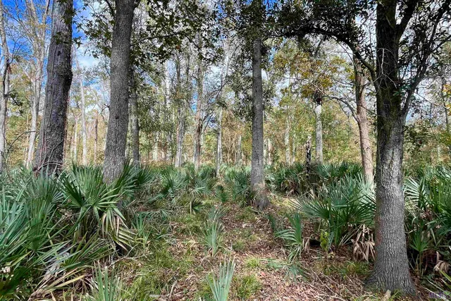 $2,175,800 | 2 Manchac Road, Baton Rouge, LA 70810