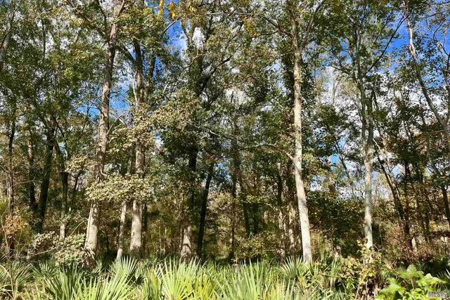 $2,175,800 | 2 Manchac Road, Baton Rouge, LA 70810