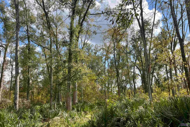 $2,175,800 | 2 Manchac Road, Baton Rouge, LA 70810