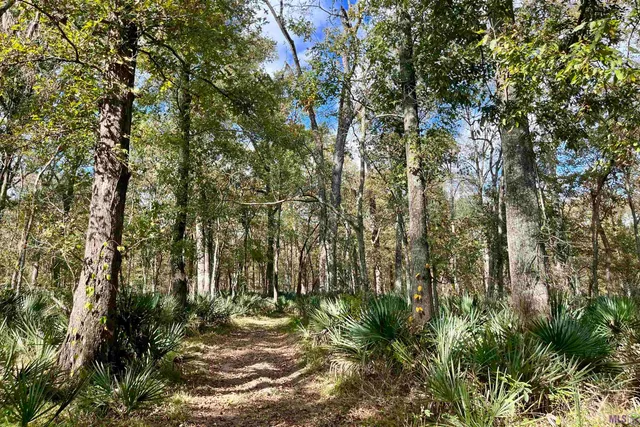 $2,175,800 | 2 Manchac Road, Baton Rouge, LA 70810