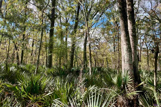 $2,175,800 | 2 Manchac Road, Baton Rouge, LA 70810