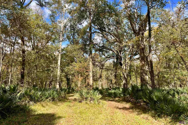 $2,175,800 | 2 Manchac Road, Baton Rouge, LA 70810