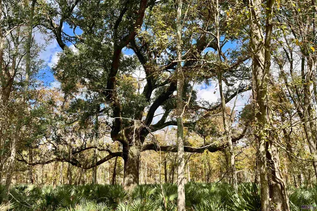 $2,175,800 | 2 Manchac Road, Baton Rouge, LA 70810