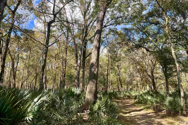 $2,175,800 | 2 Manchac Road, Baton Rouge, LA 70810