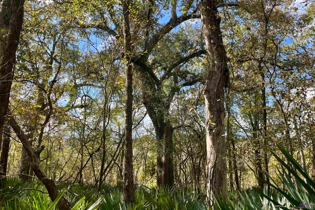 $2,175,800 | 2 Manchac Road, Baton Rouge, LA 70810