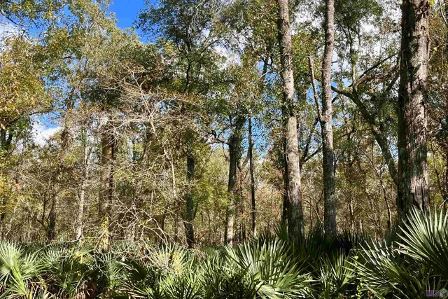 $2,175,800 | 2 Manchac Road, Baton Rouge, LA 70810