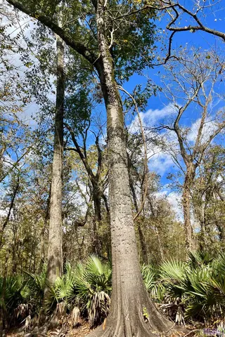 $2,175,800 | 2 Manchac Road, Baton Rouge, LA 70810