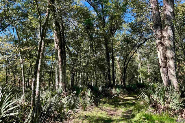 $2,175,800 | 2 Manchac Road, Baton Rouge, LA 70810