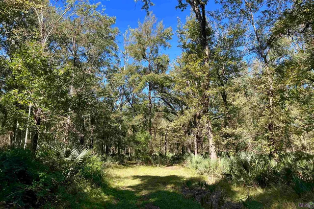 $2,175,800 | 2 Manchac Road, Baton Rouge, LA 70810