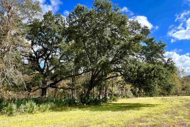 $2,175,800 | 2 Manchac Road, Baton Rouge, LA 70810