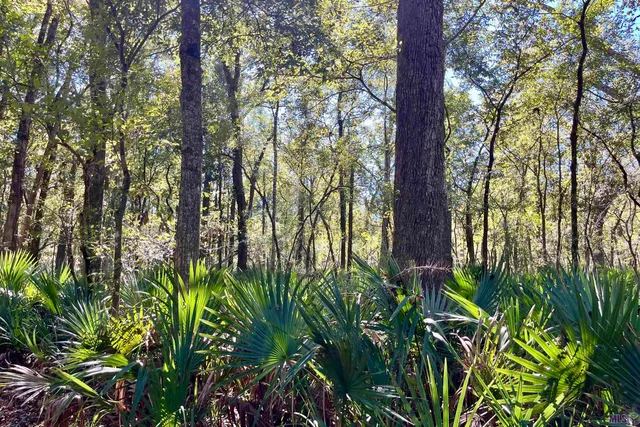 $2,175,800 | 2 Manchac Road, Baton Rouge, LA 70810