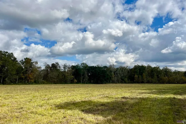 $2,175,800 | 2 Manchac Road, Baton Rouge, LA 70810