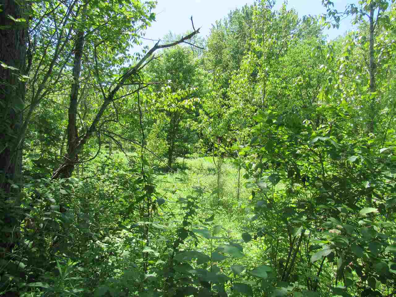 0 Loop Road Westfield, VT 05874 - Photo 17 of 28