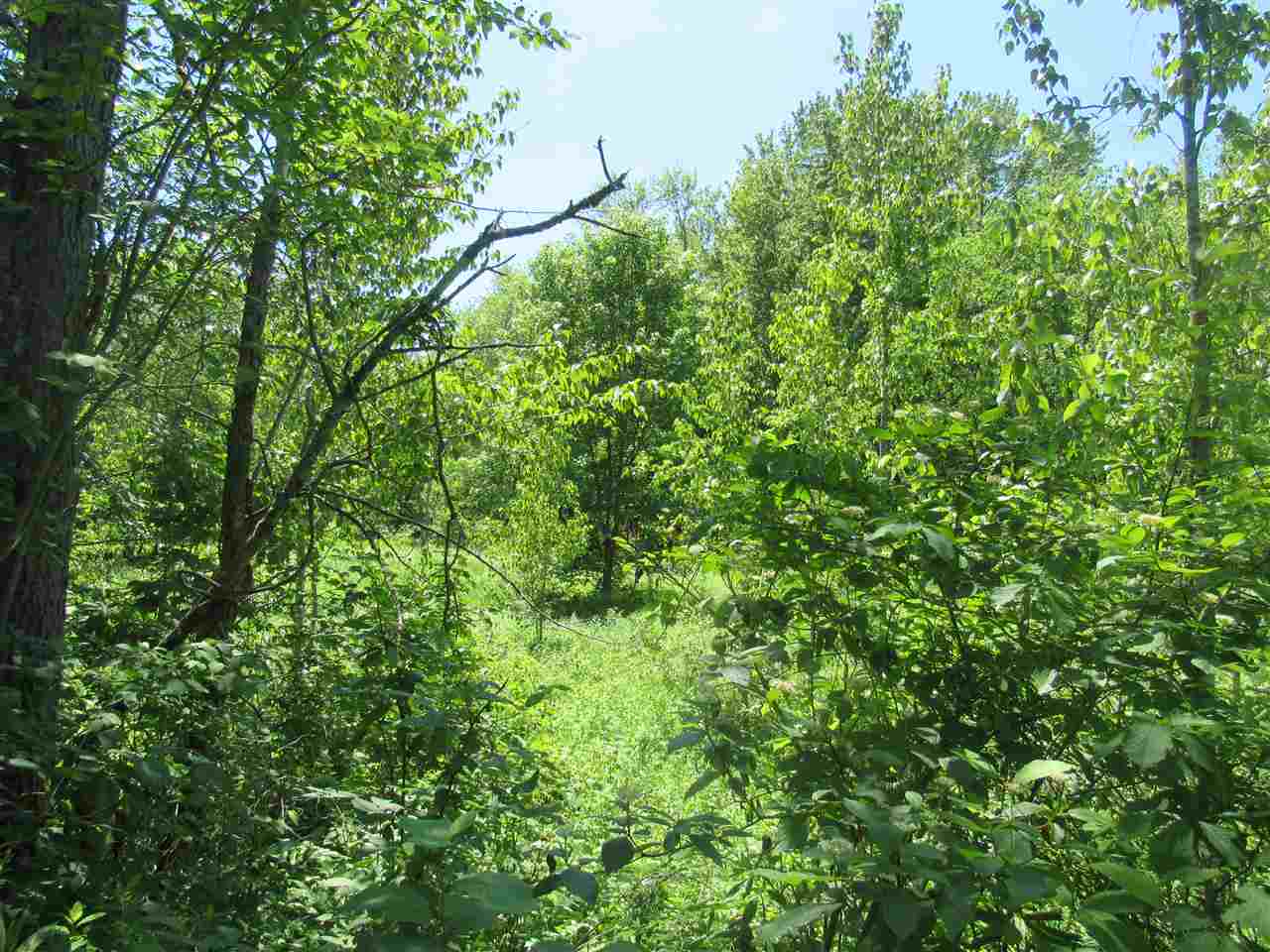 0 Loop Road Westfield, VT 05874 - Photo 18 of 28