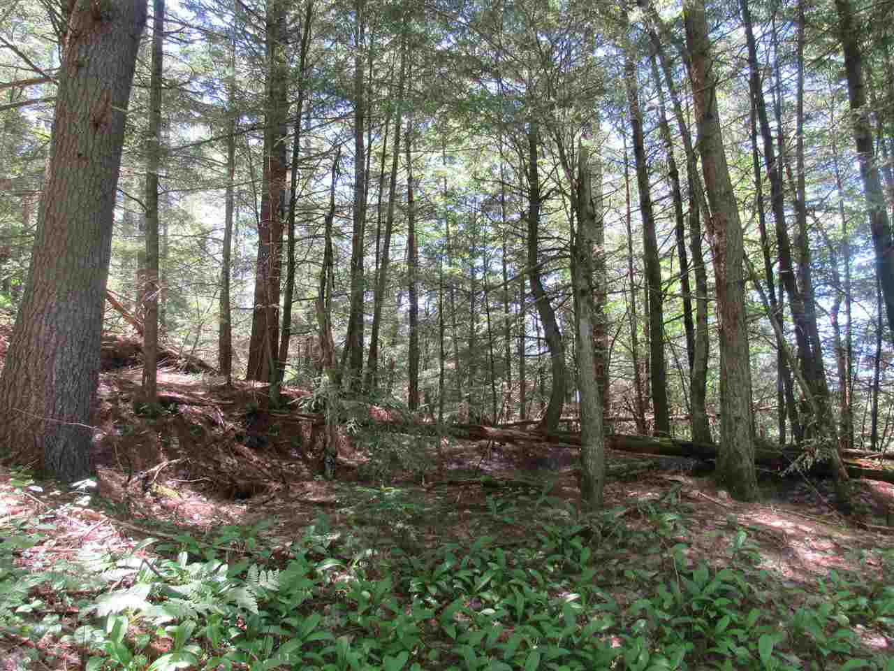 0 Loop Road Westfield, VT 05874 - Photo 20 of 28