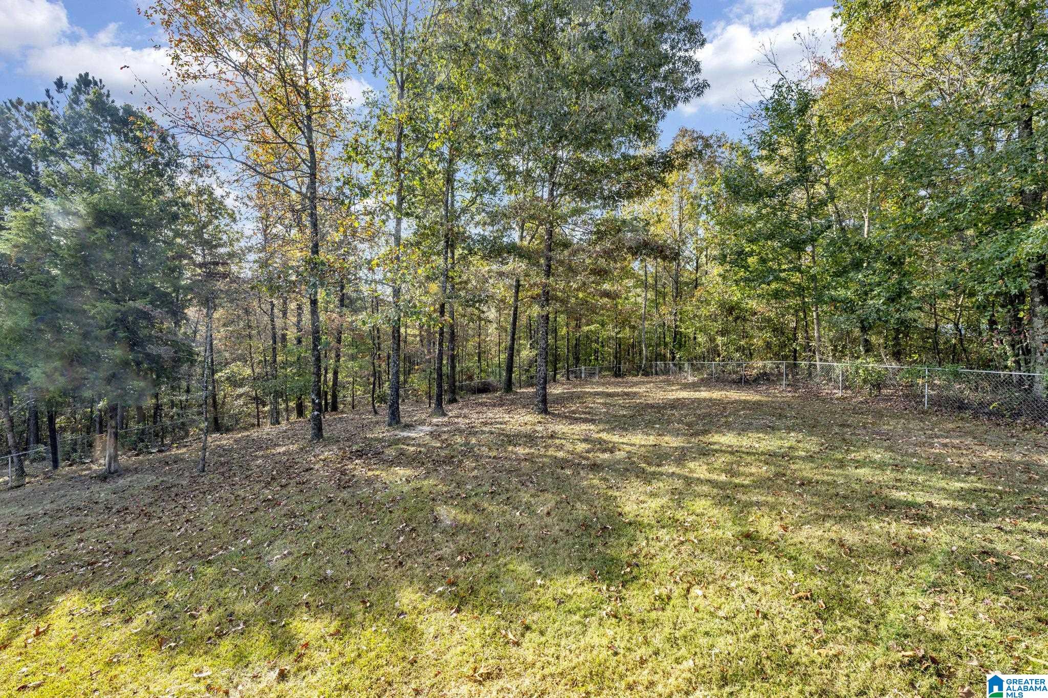 2562 Blake Way Warrior, AL 35180 - Photo 11 of 33