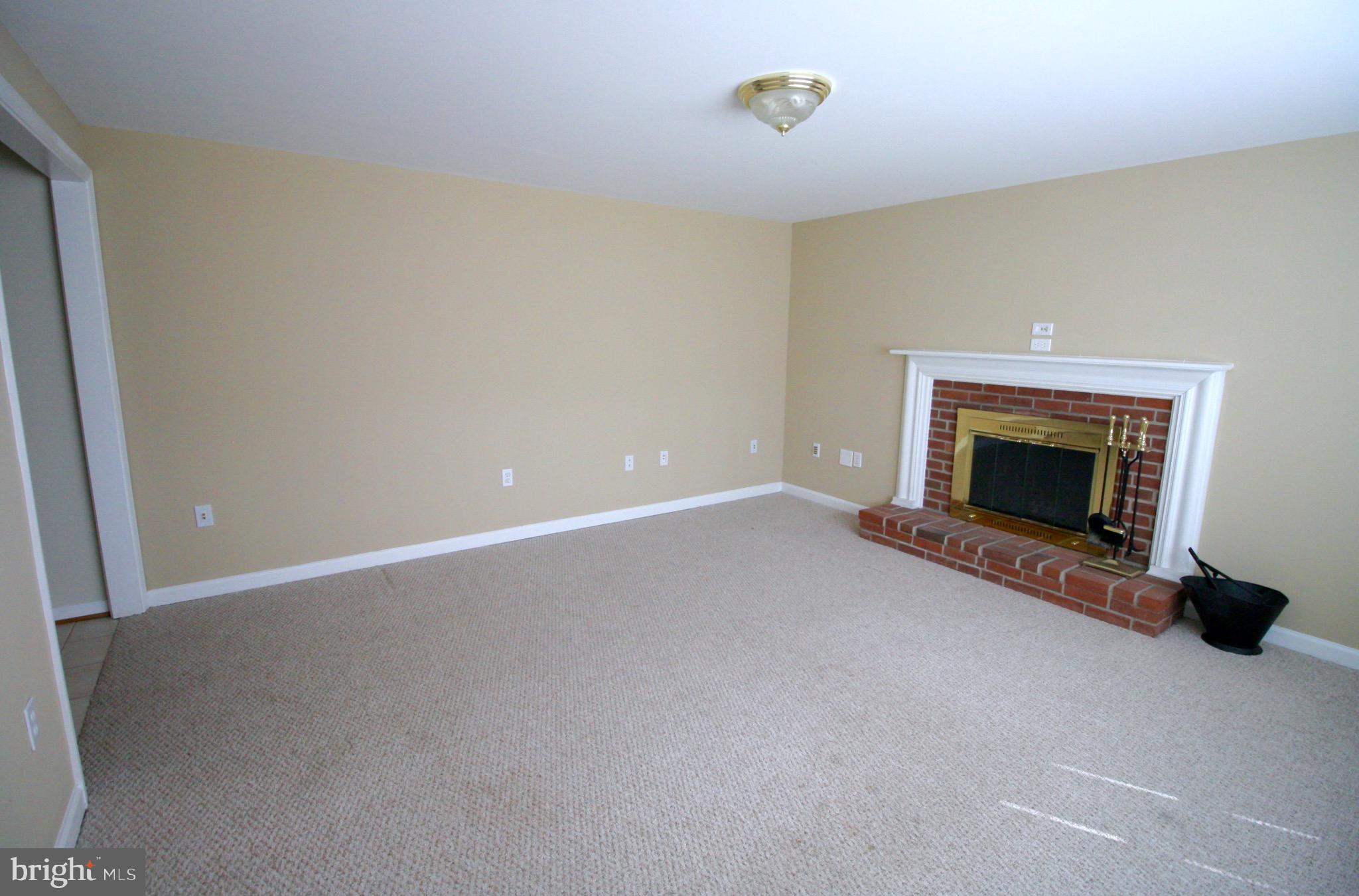 43594 Hay Road Ashburn, VA 20147 - Photo 22 of 29 Fireplace in lower living space