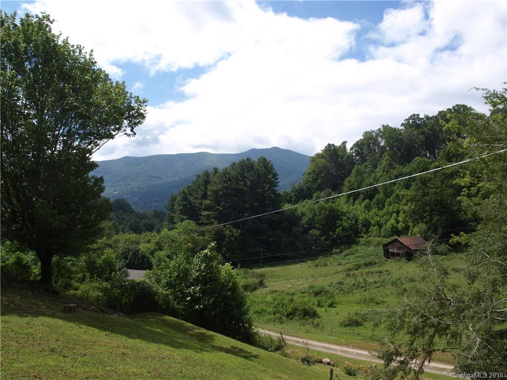 1212 Orion Davis Road Waynesville, NC 28786 - Photo 4 of 13 Gallery Image 4