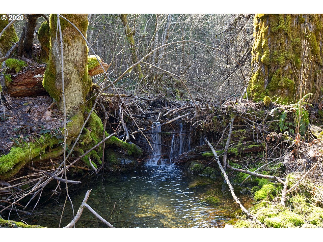 342 Foster Road Carson, WA 98610 - Photo 22 of 22