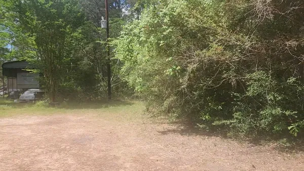 a view of a yard