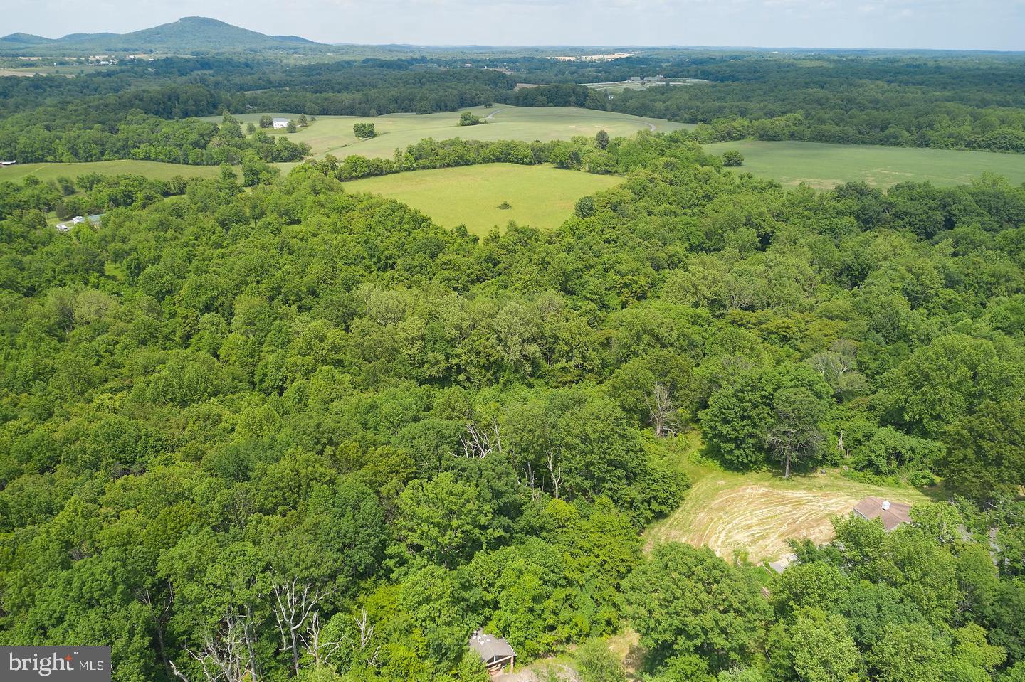 21050 Big Woods Road Dickerson, MD 20842 - Photo 59 of 62 Gallery Image 59